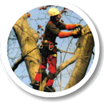 nettoyage toiture.png